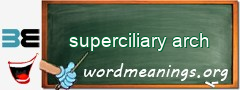 WordMeaning blackboard for superciliary arch